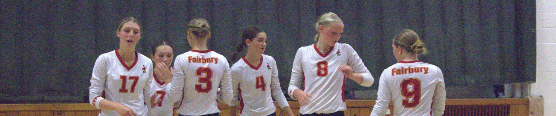 Volleyball