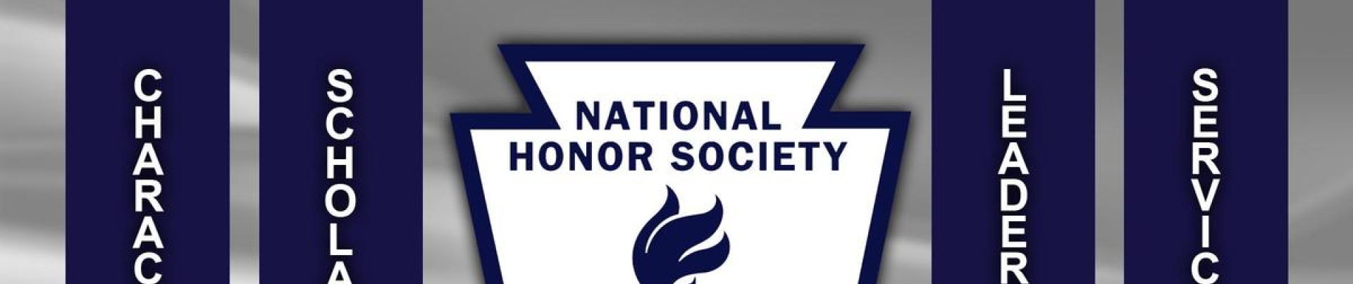 nhs logo full meaning