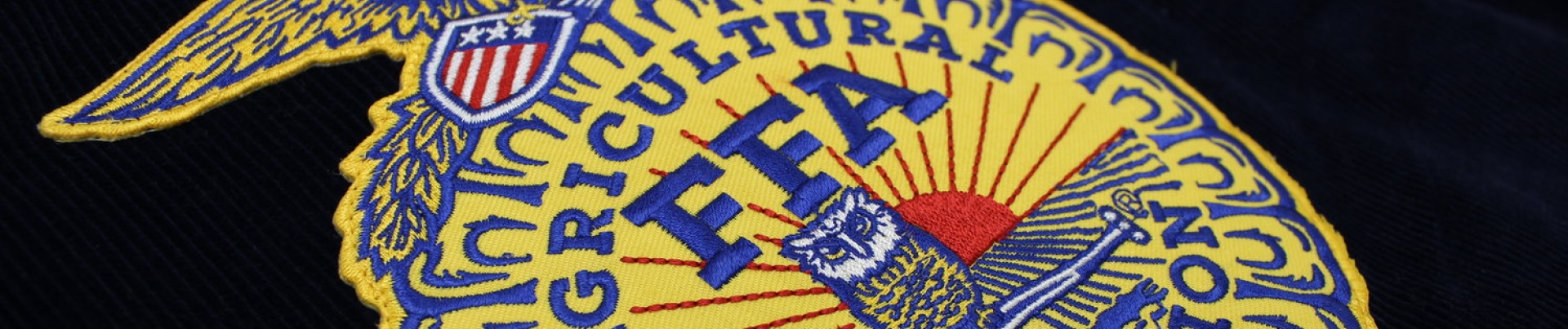 ffa patch