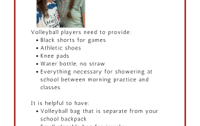 volleyball