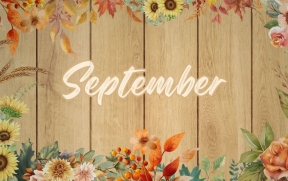September